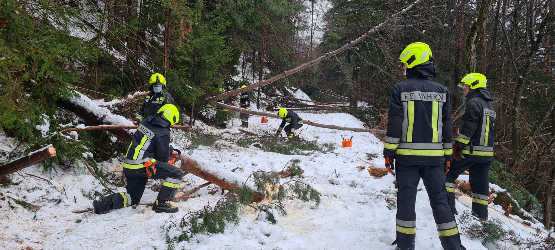 Einsatz 146 am 07.12.2020 Umgestürzte Bäume auf Salernerstraße
