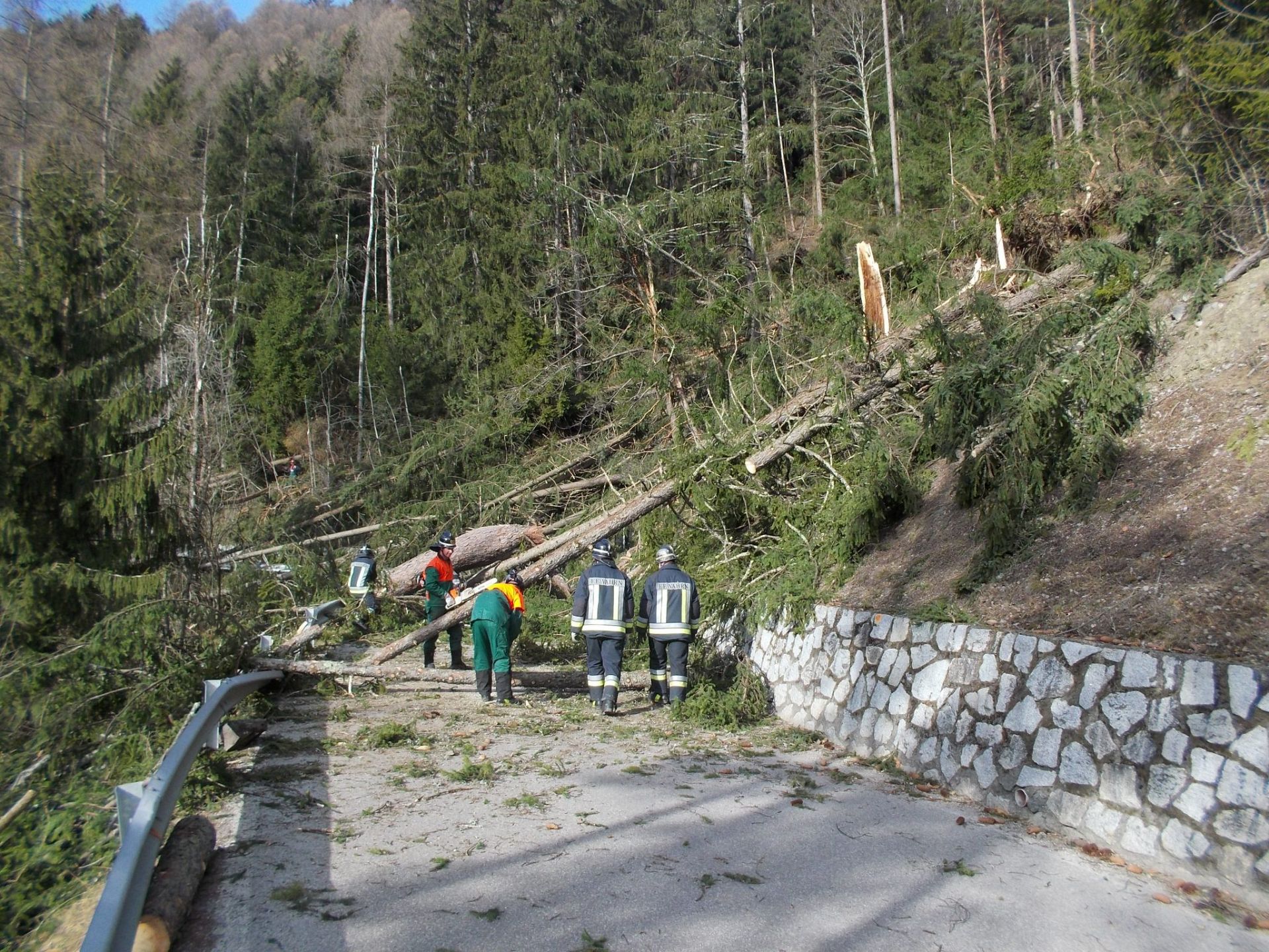 Einsatz 4 am 08.02.2015 Bäume verlegen Schalderer Straße nach starkem Wind