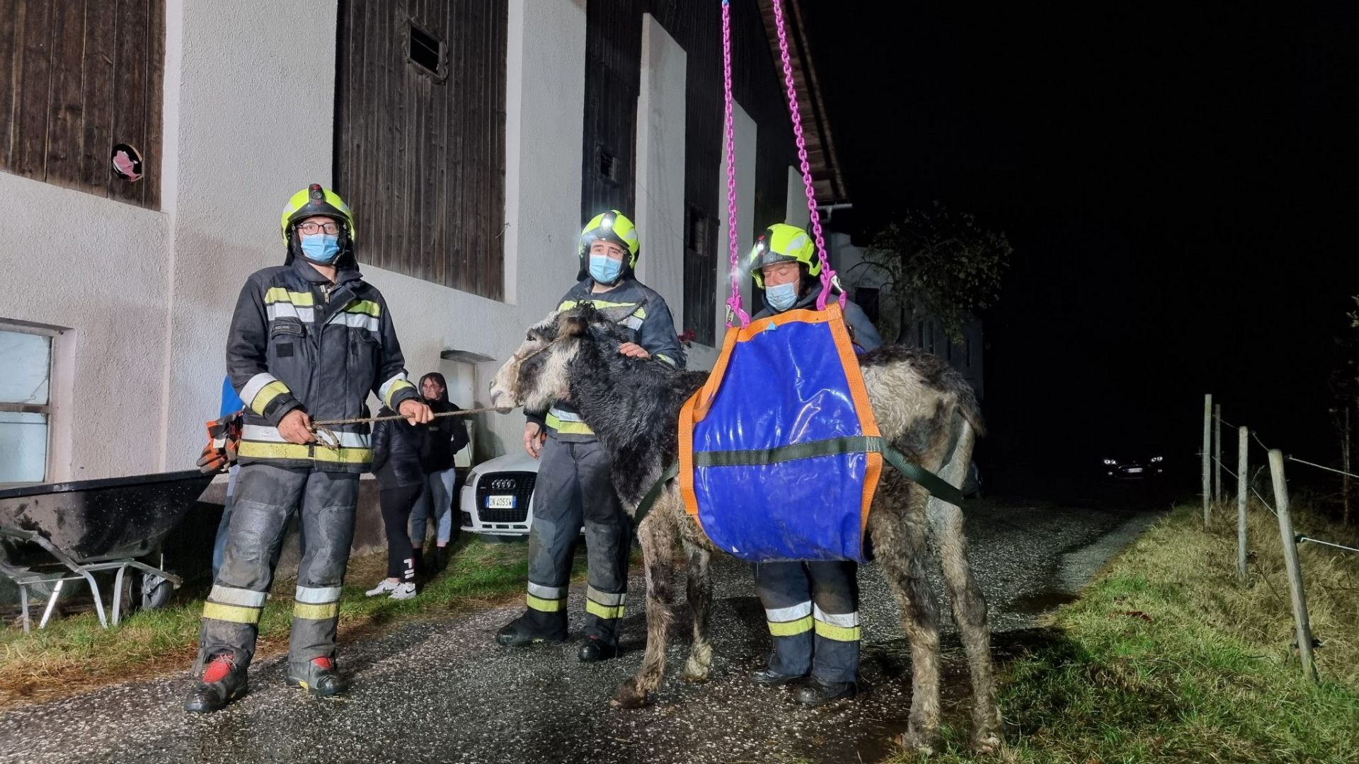 Einsatz 92 vom 13.11.2021 Rettung von Esel aus Mistlege beim Vorderriggerhof
